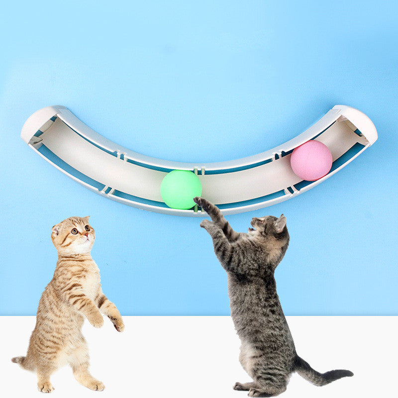 Ballon de piste à ventouse pour chat