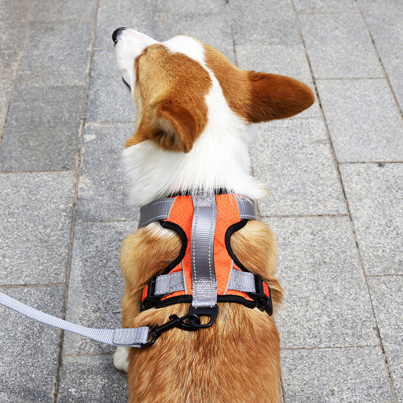 Stylish Dog Hand Holding Rope Vest Dog Chest Strap in vibrant orange, perfect for walks and outdoor adventures.