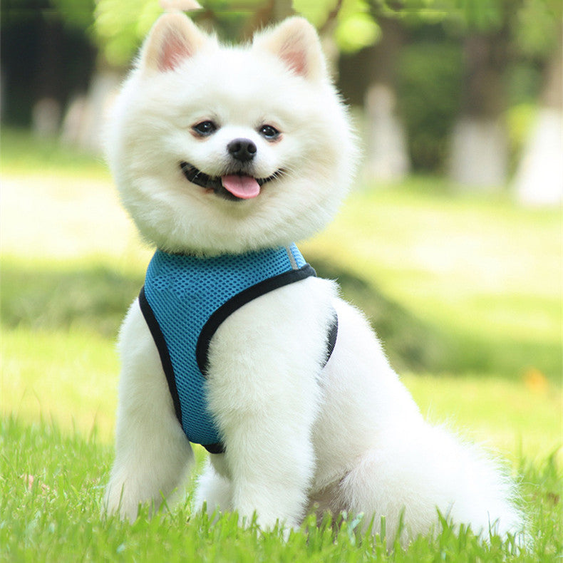 Happy dog wearing a blue Breathable Mesh Dog Reflective Chest Strap, perfect for outdoor adventures and safety.