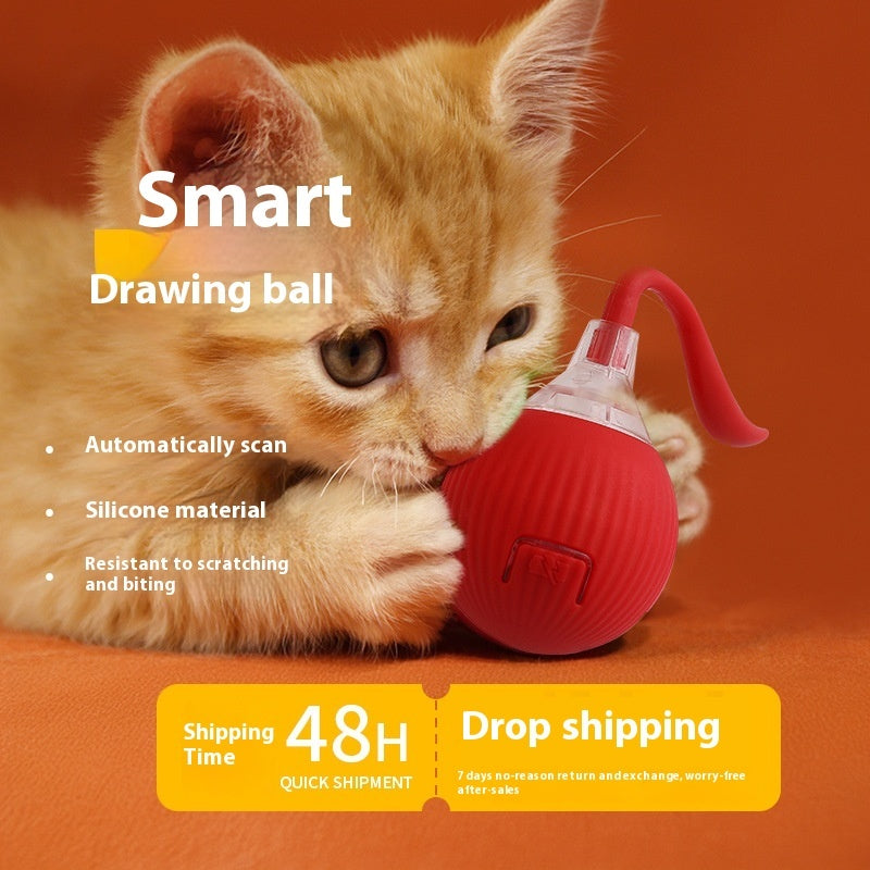 Jouet interactif pour chat Balle roulante Super Drive Cat